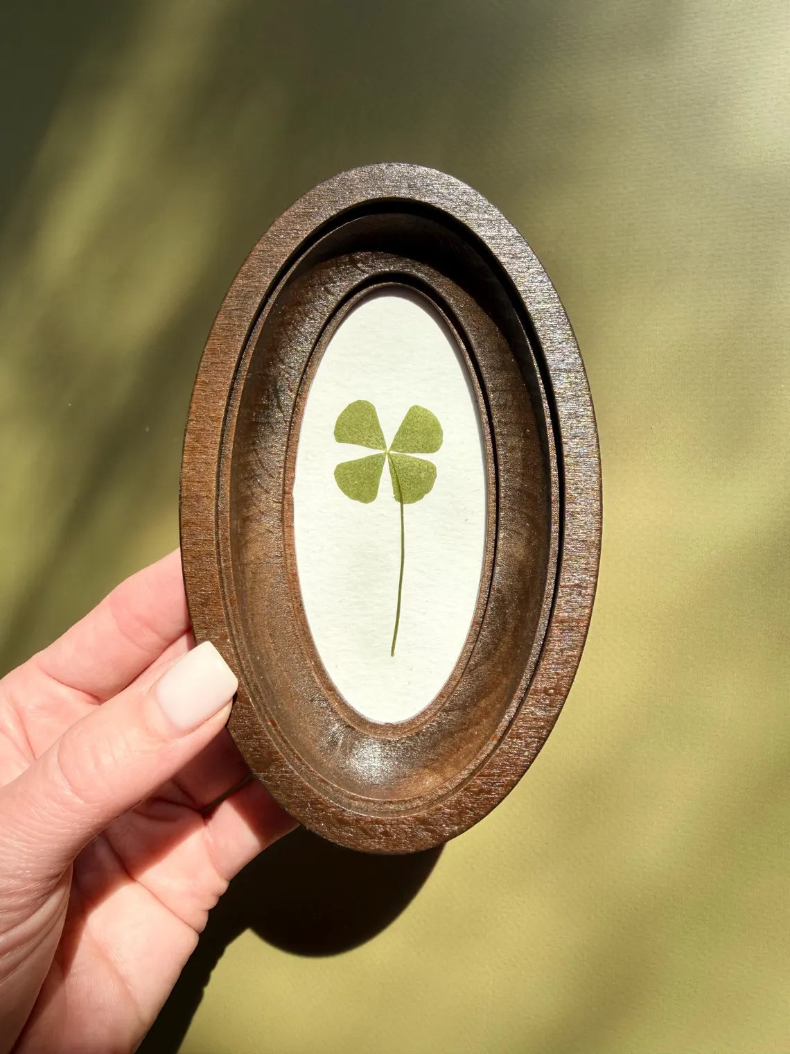 Four-leaf clover in oval frame, good luck charm, pressed clover, handmade botanical decor