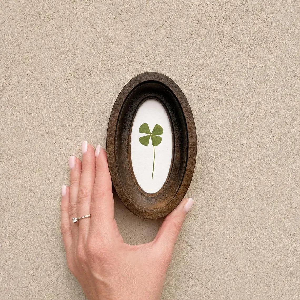 Four-leaf clover in oval frame, good luck charm, pressed clover, handmade botanical decor