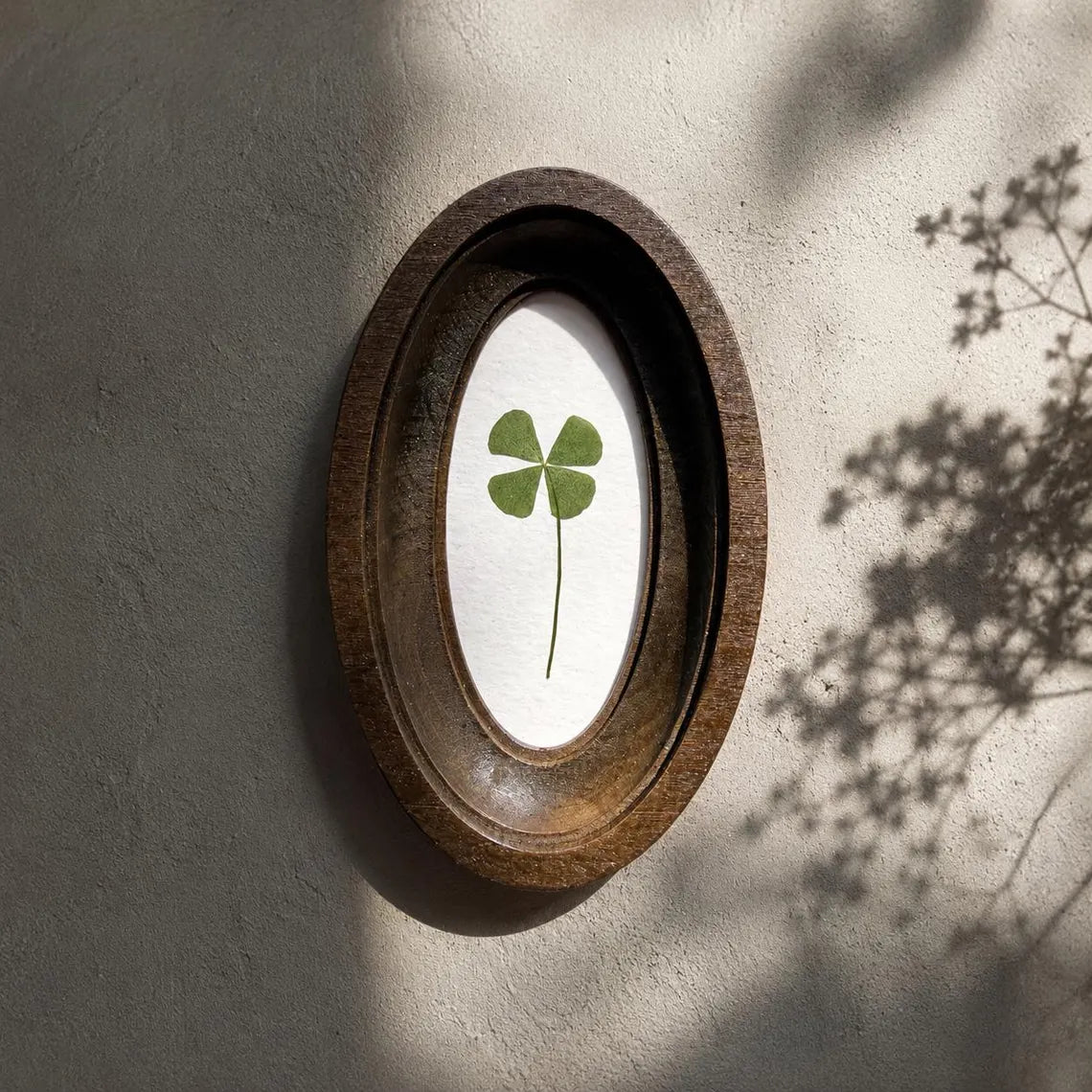 Four-leaf clover in oval frame, good luck charm, pressed clover, handmade botanical decor