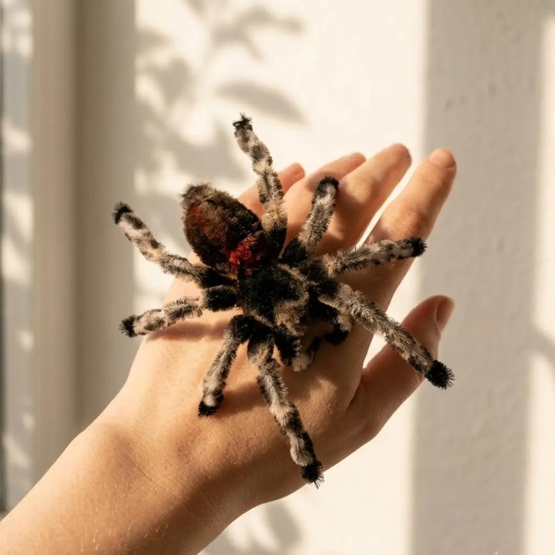 Handmade Mexican Redknee Tarantula Hair Clip, Fuzzy Banded Legs, Gothic Halloween Accessory